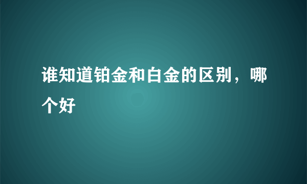 谁知道铂金和白金的区别，哪个好