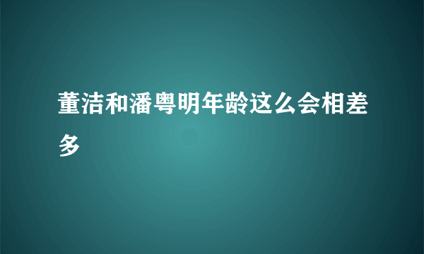 董洁和潘粤明年龄这么会相差多