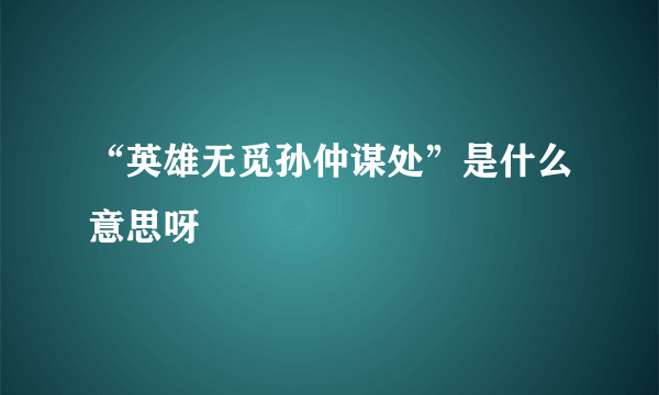 “英雄无觅孙仲谋处”是什么意思呀﹖