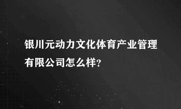 银川元动力文化体育产业管理有限公司怎么样？