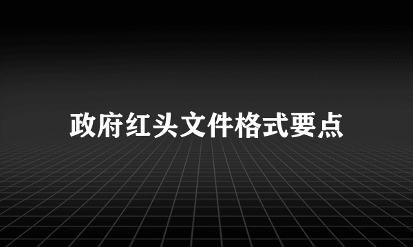 政府红头文件格式要点