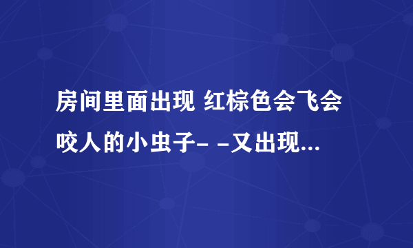 房间里面出现 红棕色会飞会咬人的小虫子- -又出现了要命啊