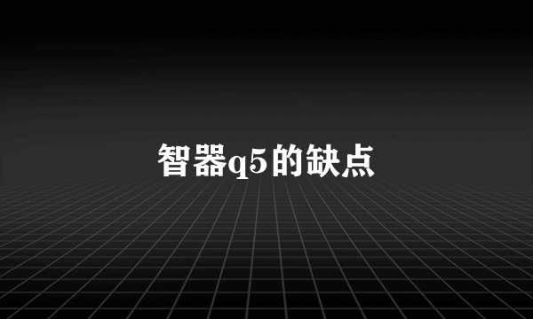 智器q5的缺点