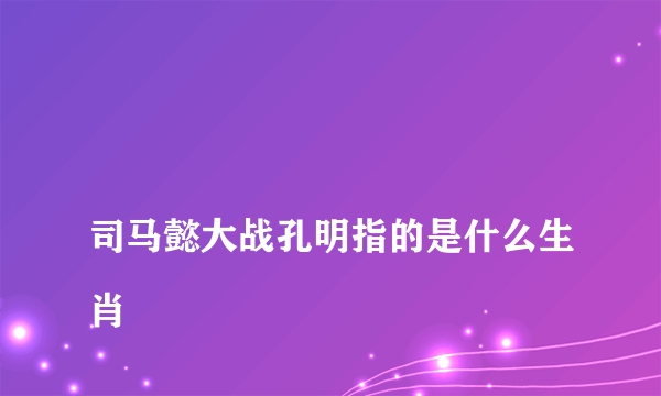 
司马懿大战孔明指的是什么生肖

