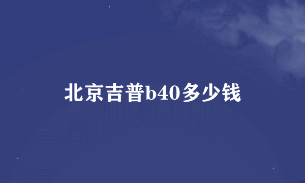 北京吉普b40多少钱