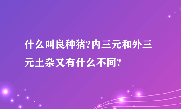 什么叫良种猪?内三元和外三元土杂又有什么不同?