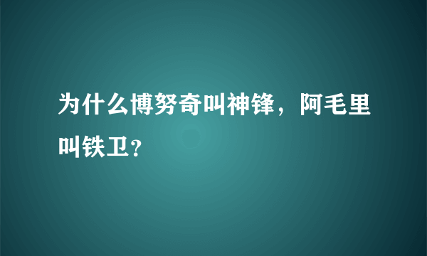 为什么博努奇叫神锋，阿毛里叫铁卫？