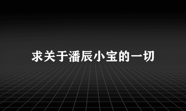 求关于潘辰小宝的一切