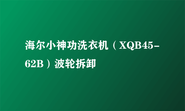 海尔小神功洗衣机（XQB45-62B）波轮拆卸