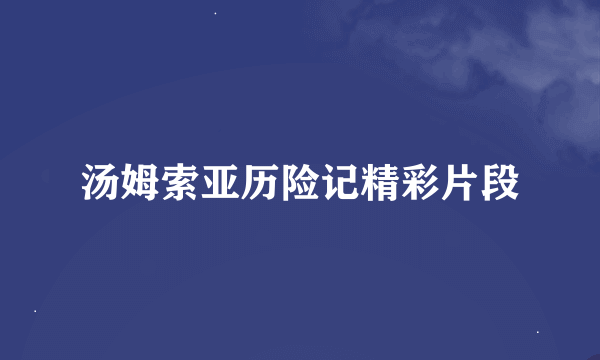 汤姆索亚历险记精彩片段