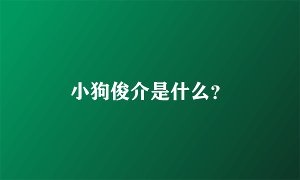 小狗俊介是什么？