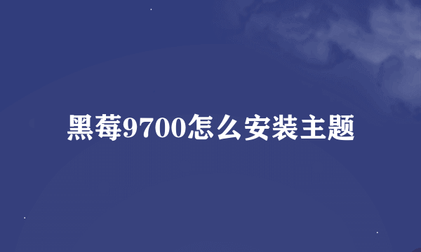 黑莓9700怎么安装主题