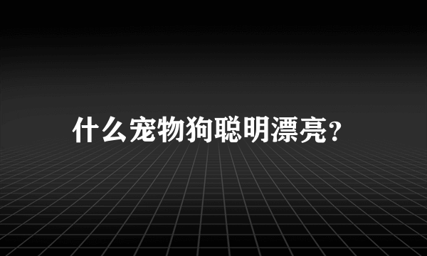 什么宠物狗聪明漂亮？