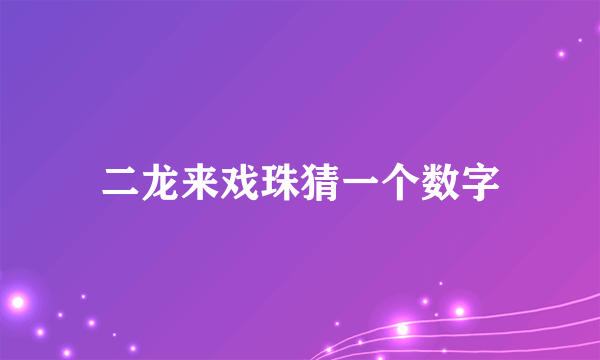 二龙来戏珠猜一个数字