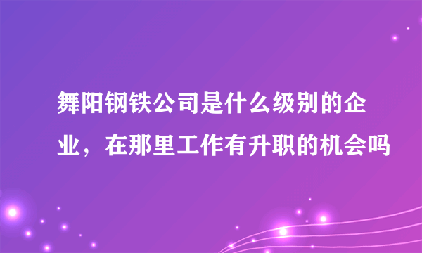 舞阳钢铁公司是什么级别的企业，在那里工作有升职的机会吗