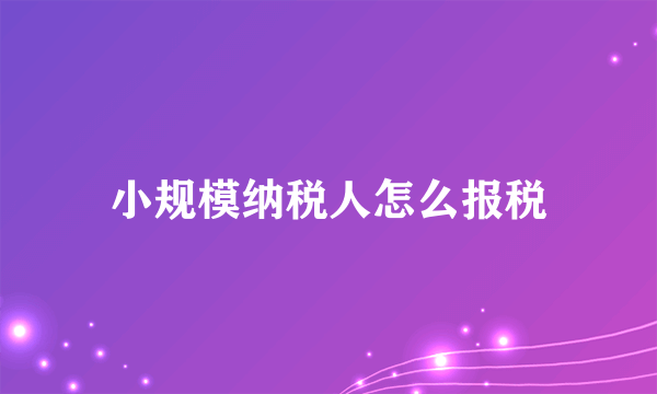 小规模纳税人怎么报税