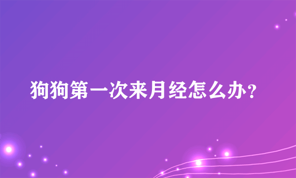 狗狗第一次来月经怎么办？