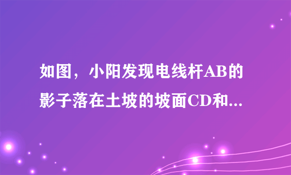 如图，小阳发现电线杆AB的影子落在土坡的坡面CD和地面BC上，量得CD=8米，BC=20米，CD与地面成30º角