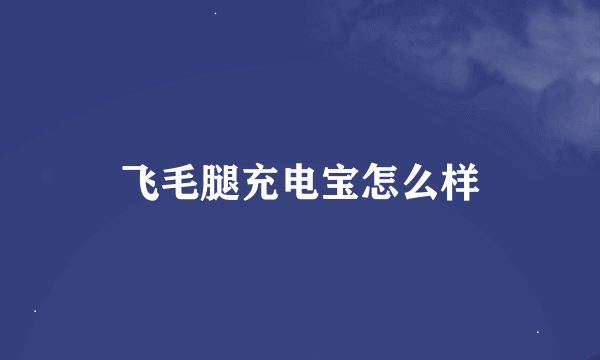 飞毛腿充电宝怎么样