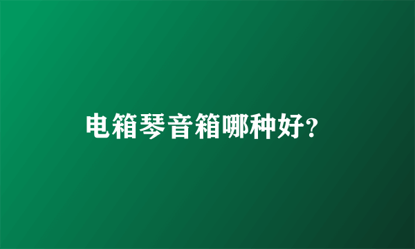 电箱琴音箱哪种好？