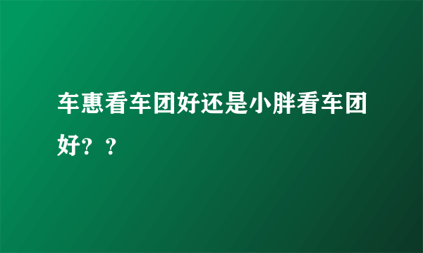 车惠看车团好还是小胖看车团好？？