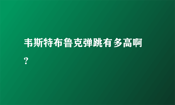 韦斯特布鲁克弹跳有多高啊 ？