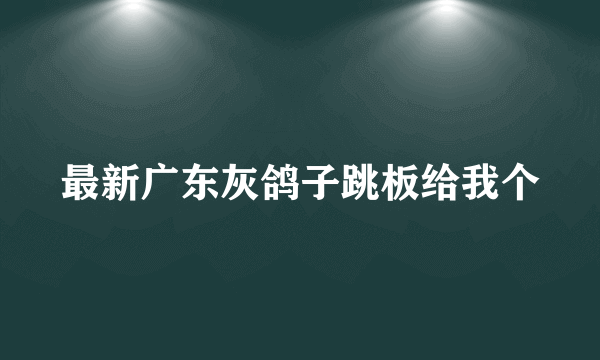 最新广东灰鸽子跳板给我个