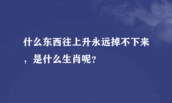 什么东西往上升永远掉不下来，是什么生肖呢？