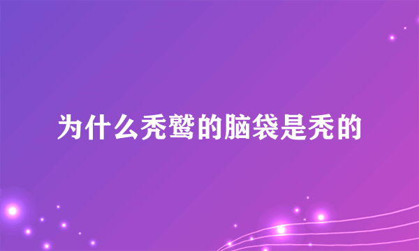 为什么秃鹫的脑袋是秃的