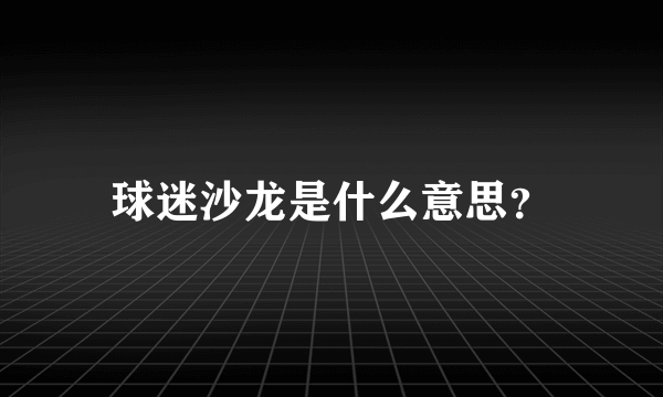 球迷沙龙是什么意思？