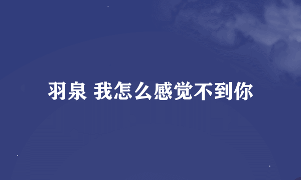 羽泉 我怎么感觉不到你