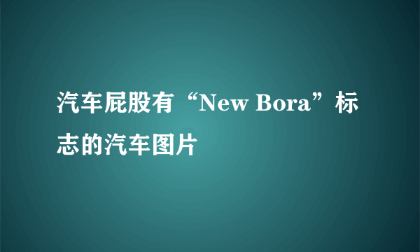 汽车屁股有“New Bora”标志的汽车图片