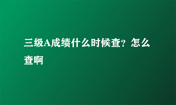 三级A成绩什么时候查？怎么查啊