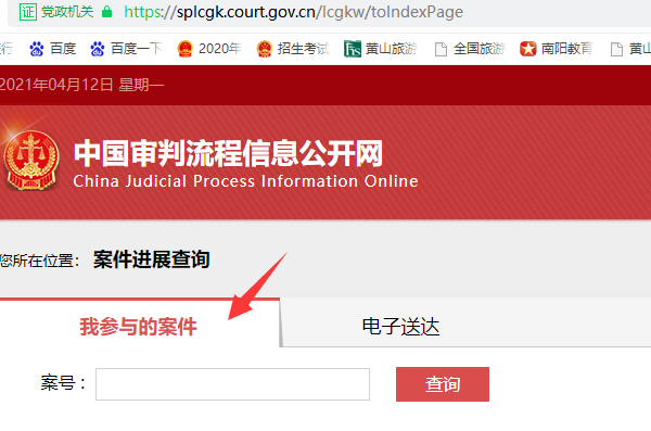 中国审判流程信息公开网如何查询案号？