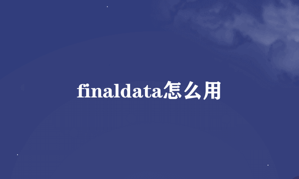 finaldata怎么用