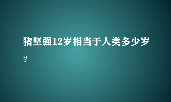 猪坚强12岁相当于人类多少岁？