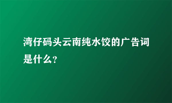 湾仔码头云南纯水饺的广告词是什么？