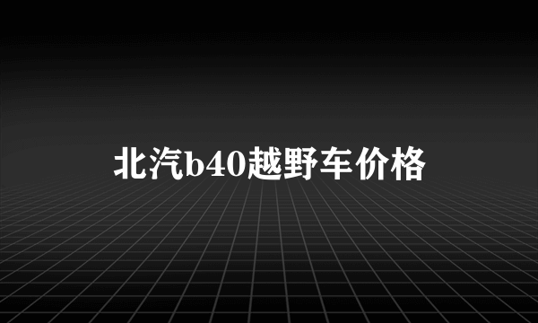 北汽b40越野车价格