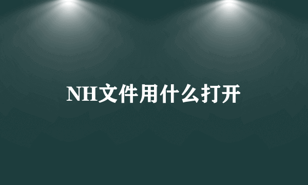 NH文件用什么打开