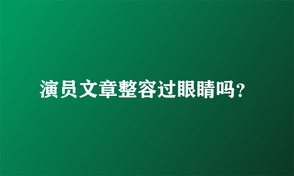 演员文章整容过眼睛吗？