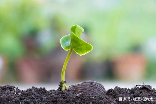 各种植物的是靠什么传播种子的?