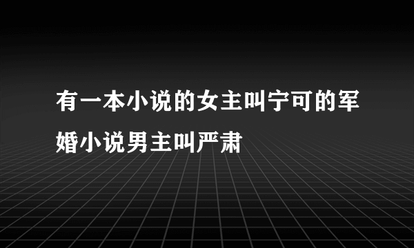 有一本小说的女主叫宁可的军婚小说男主叫严肃