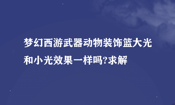 梦幻西游武器动物装饰篮大光和小光效果一样吗?求解