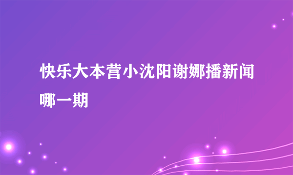 快乐大本营小沈阳谢娜播新闻哪一期