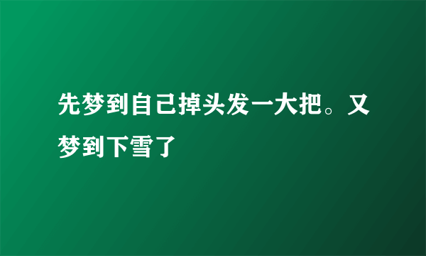 先梦到自己掉头发一大把。又梦到下雪了