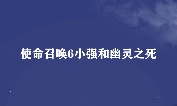 使命召唤6小强和幽灵之死