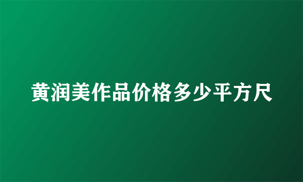 黄润美作品价格多少平方尺