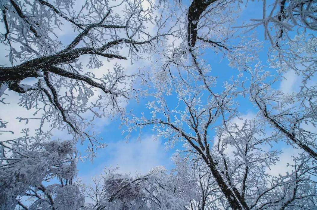 河南多景区飘起鹅毛大雪，是什么原因造成的？