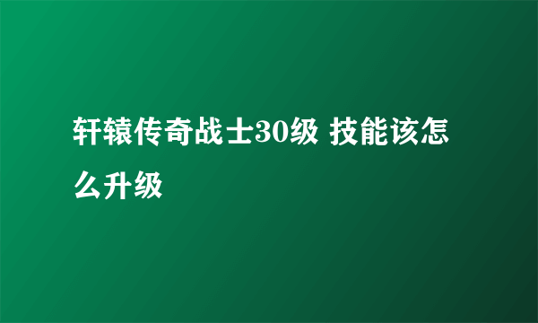 轩辕传奇战士30级 技能该怎么升级