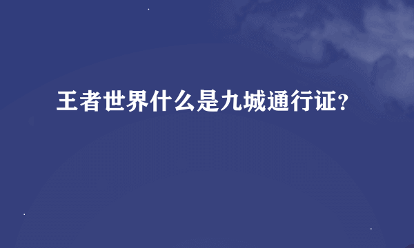 王者世界什么是九城通行证？